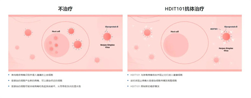 图片细节说明